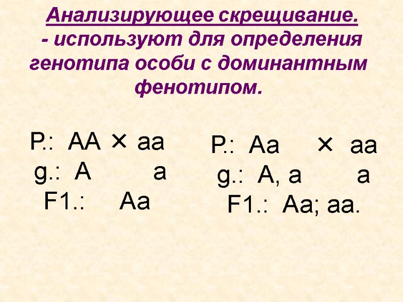 Анализирующее скрещивание. - используют для определения генотипа особи с доминантным фенотипом. Р.:  АА